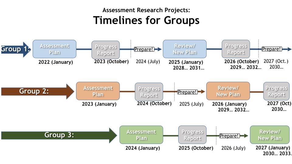 Assessment Projects TIMELINE (by Group)-2022-2025